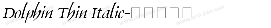 Dolphin Thin Italic字体转换
